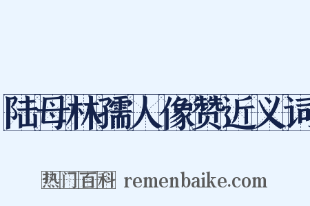 陆母林孺人像赞近义词是什么意思的图片